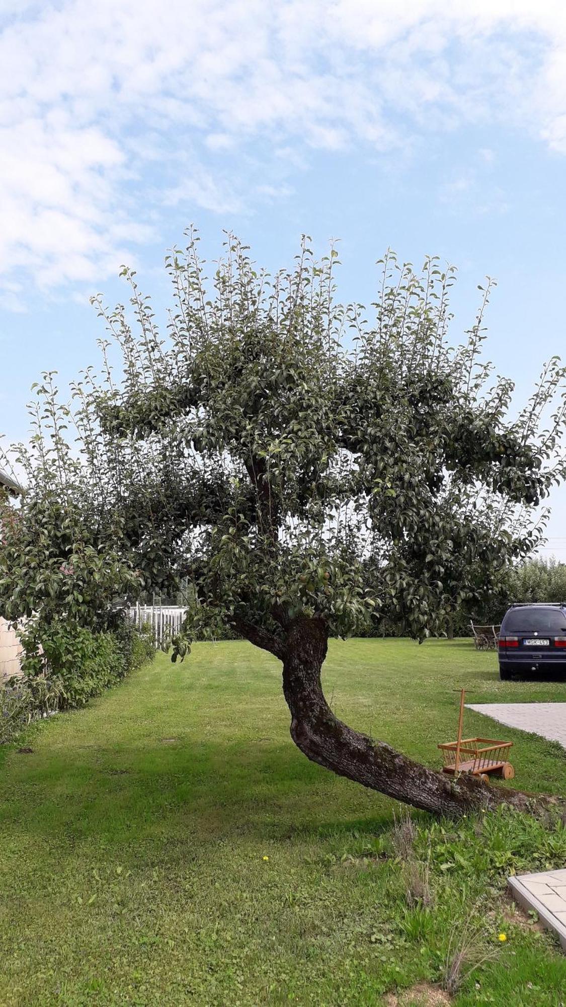 فندق Orgona Vendeghaz Murakeresztur المظهر الخارجي الصورة